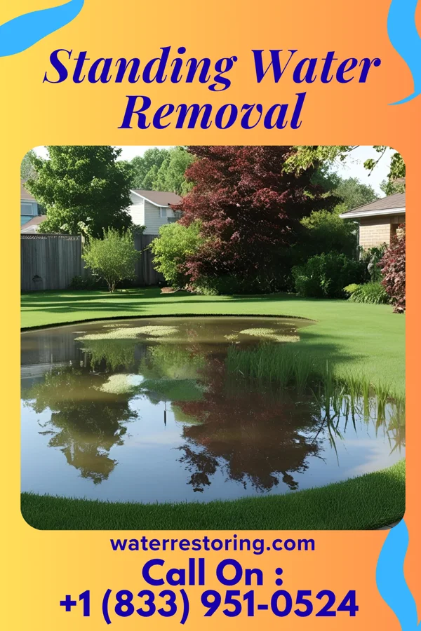 Standing Water Removal in New Berlin, TX